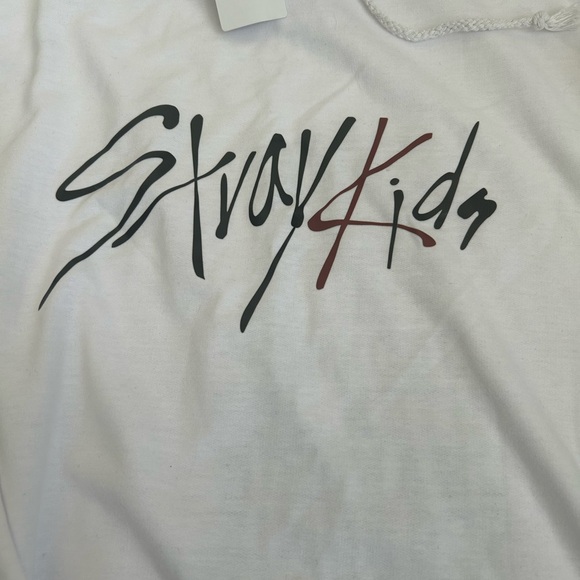 NWOT Stray Kids hoodie sweater size M - Picture 2 of 6
